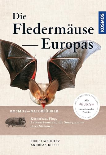 Naturführer Fledermäuse Europas: Alle Arten erkennen und sicher bestimmen