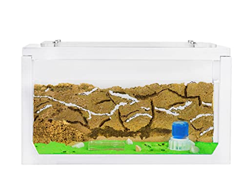 AntHouse - Natürliche Ameisenfarm aus Sand | 3D Starter Kit Weiß 20x10x10 cm | Inklusive Ameisen