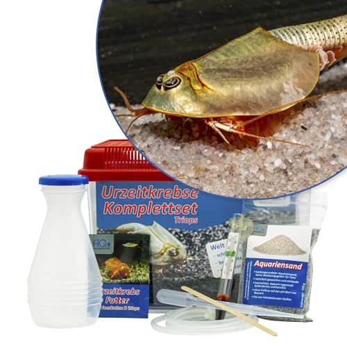 Triops longicaudatus Starterset: Urzeitkrebse Eier, 2,5 l Aquarium, Zubehör, Futter und Anleitung