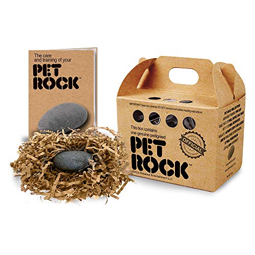 Pet Rock - Das Original von Gary Dahl